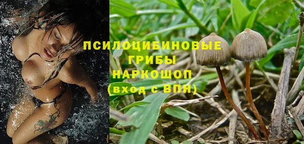 хмурый Козловка