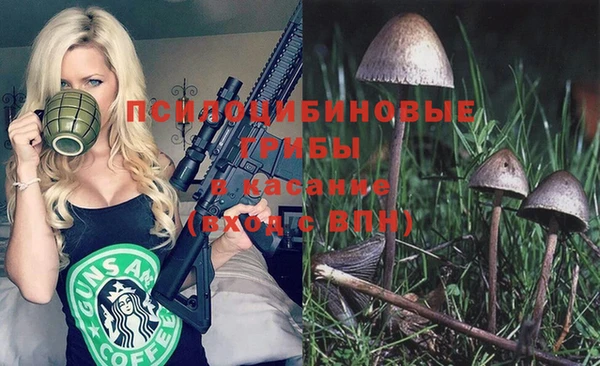 хмурый Козловка