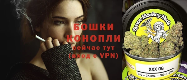 хмурый Козловка