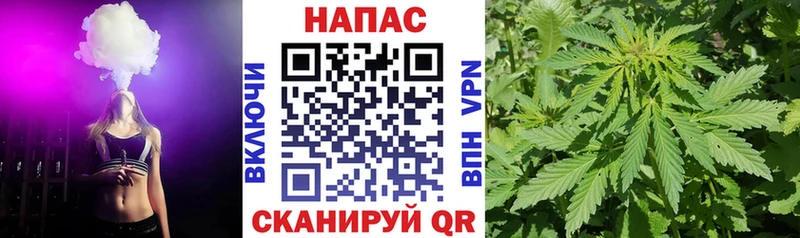 Купить закладки  Волжск  Конопля ГИДРОПОН 